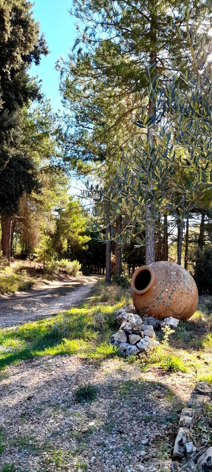 Villa Sanz Cuenca  Bagian luar foto