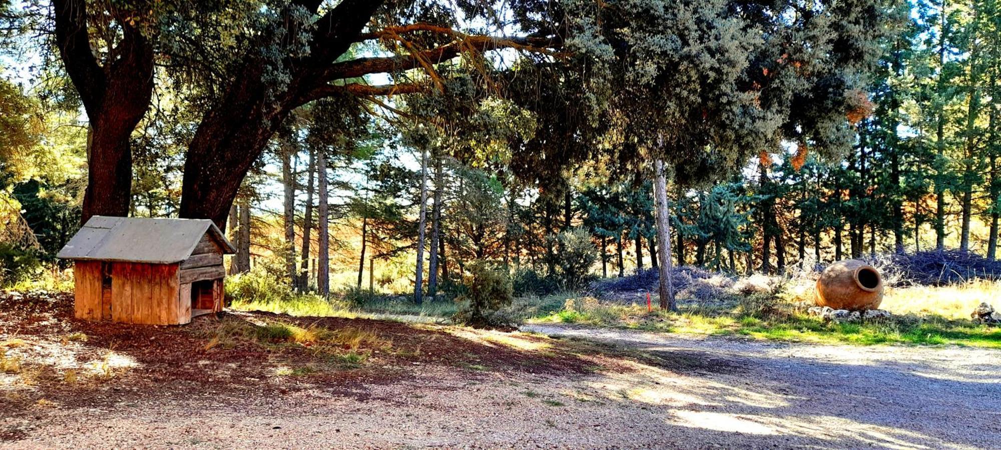 Villa Sanz Cuenca  Bagian luar foto